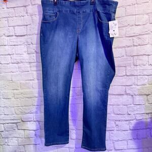 GLORIA VANDERBILT Amanda NWT Pull on Jeans w Slimming Panel 22W